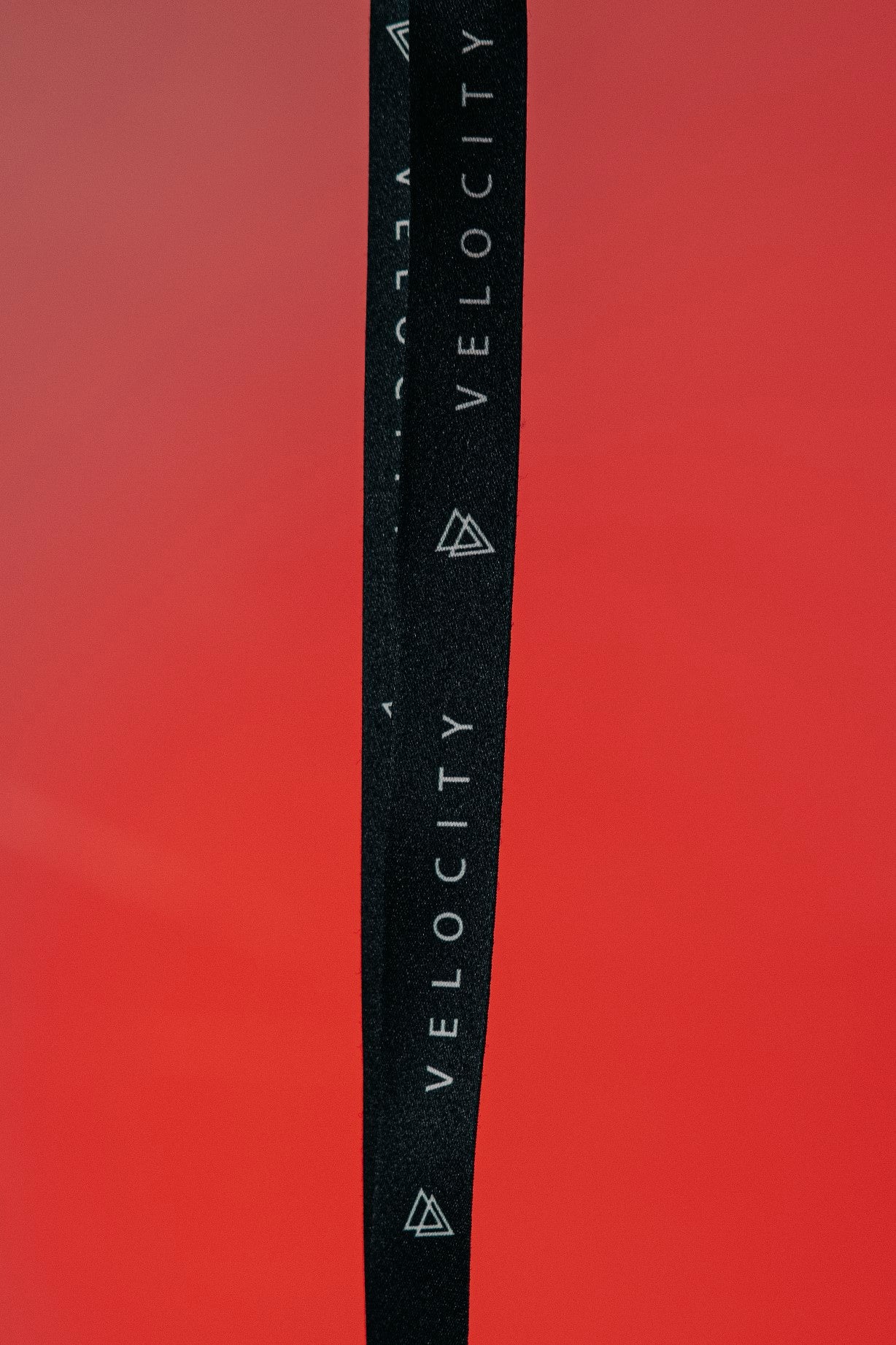VLCT LANYARD
